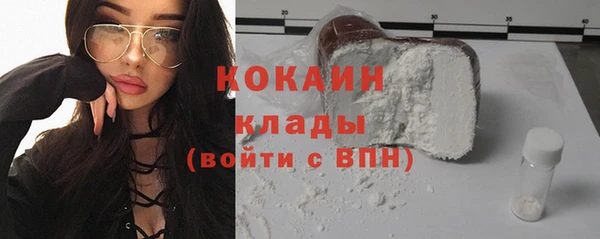 твердый Долгопрудный