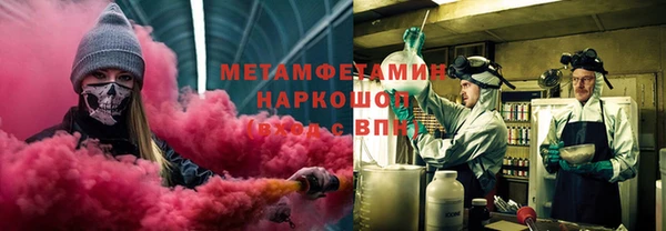 шишки Новодвинск