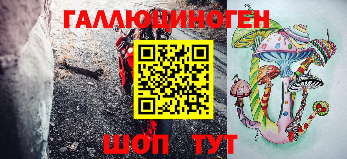 Урус-Мартан  Псилоцибиновые грибы Psilocybe  Вход с VPN 